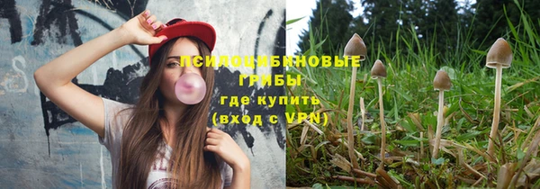ПСИЛОЦИБИНОВЫЕ ГРИБЫ Абдулино