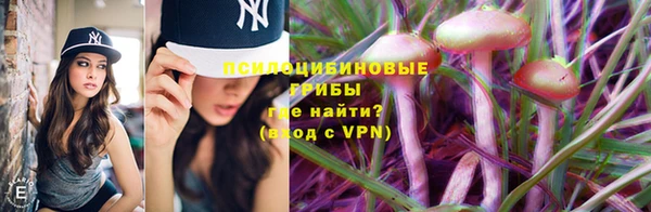 стаф Абаза
