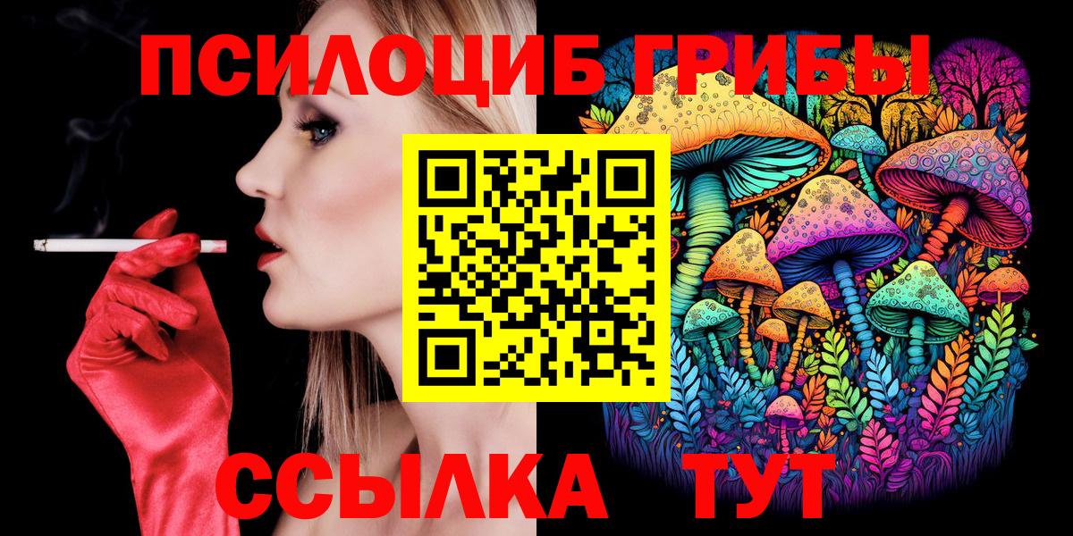 Псилоцибиновые грибы Psilocybe Беслан