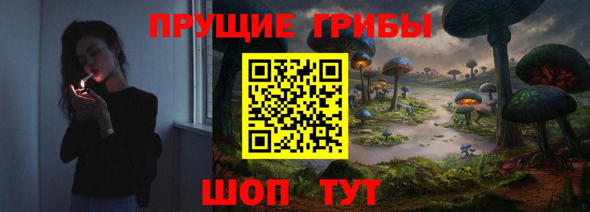 Галлюциногенные грибы Cubensis  Вход с VPN  Беслан 